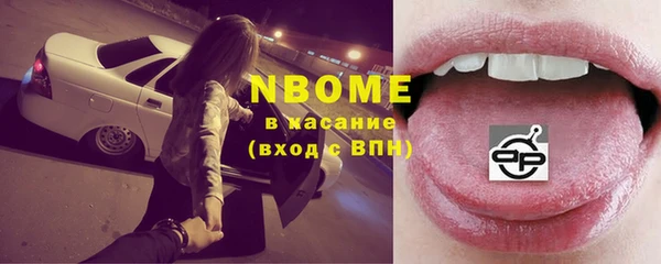 индика Алзамай