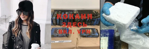 стафф Алексин