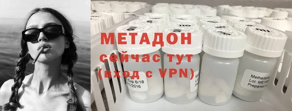 индика Алзамай