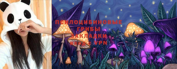 индика Алзамай