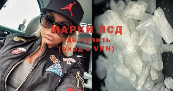 индика Алзамай