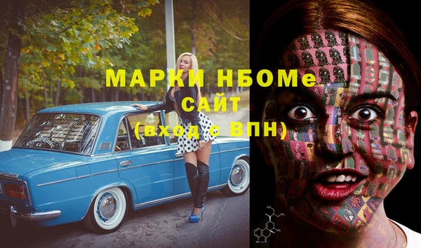 индика Алзамай