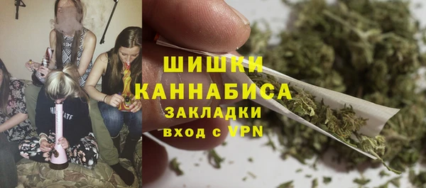 индика Алзамай
