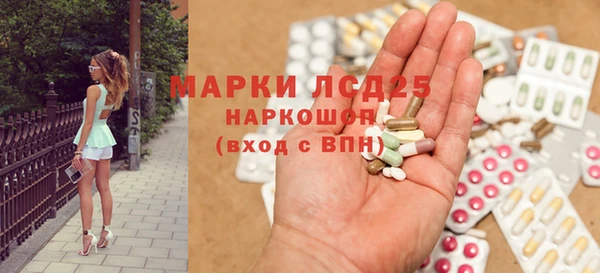 индика Алзамай
