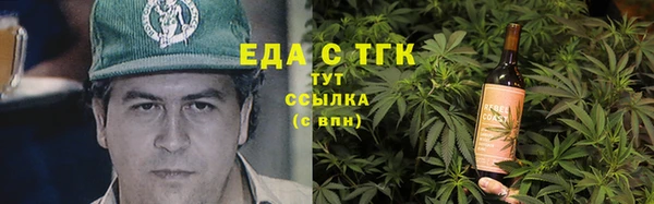 индика Алзамай