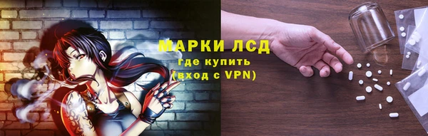 стафф Алексин