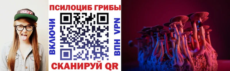 Галлюциногенные грибы MAGIC MUSHROOMS Мостовской