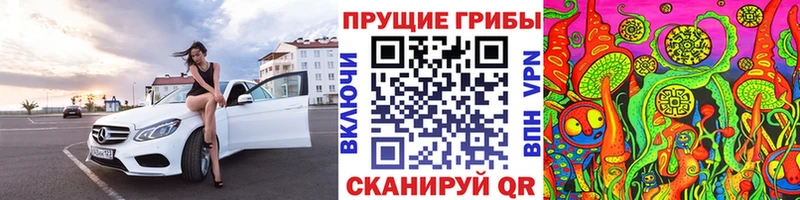 Галлюциногенные грибы Psilocybe  Купить  Мостовской 